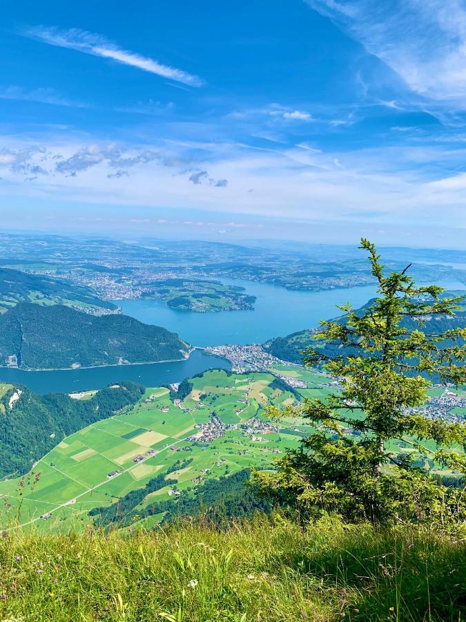 The Swiss Paradise 2 Apartment With Garden, Whirlpool, And Mountain Panorama Wirzweli Buitenkant foto
